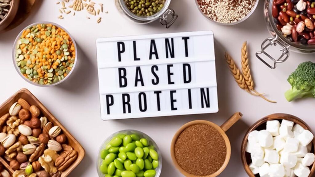 Plant-Based Protein Sources for Vegan Athletes